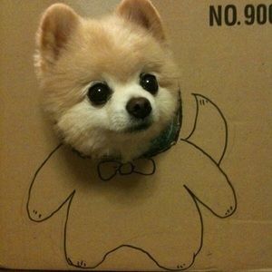 Meet your Posher, Sunha